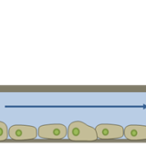 Flow Diagram_1
