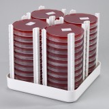 Airlock Transfer Tray with Petri dishes