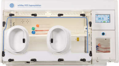 Whitley H35 Hypoxystation