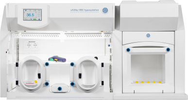 Whitley H85 Hypoxystation