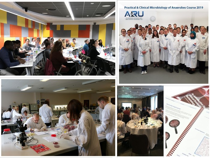 Book Your Place on the Practical & Clinical Microbiology of Anaerobes Course