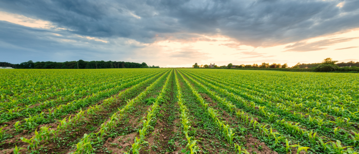Revolutionierung der Landwirtschaft mit nachhaltigen Lösungen