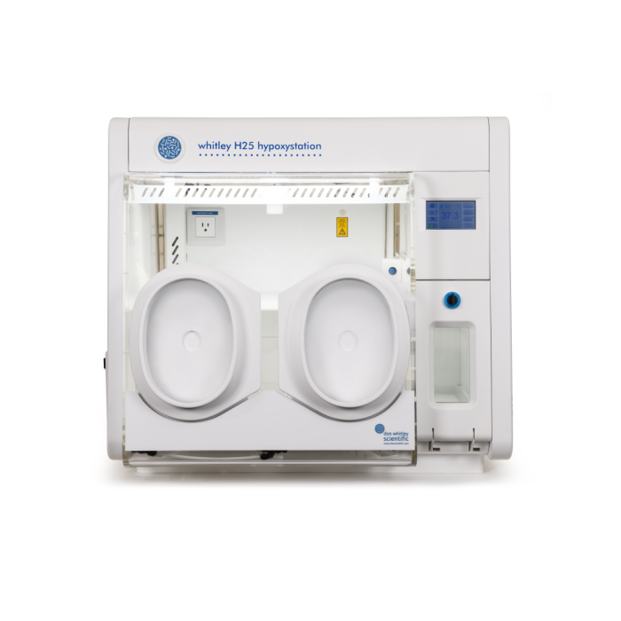 Whitley H25 Hypoxystation - Klein, aber perfekt geformt