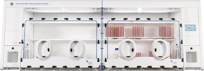 Whitley M155 HEPA Microaerobic Workstation