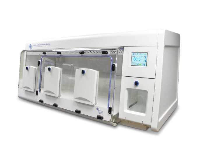 Over 25 Years of Whitley Workstations at Blackpool's Victoria Hospital
