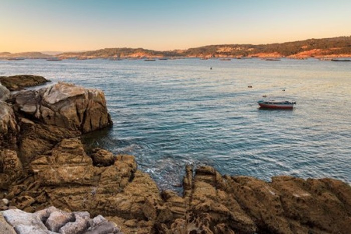 Rising sea temperatures and new discoveries