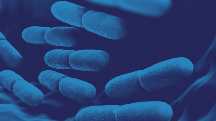 FMT and male infertility: A new potential treatment?