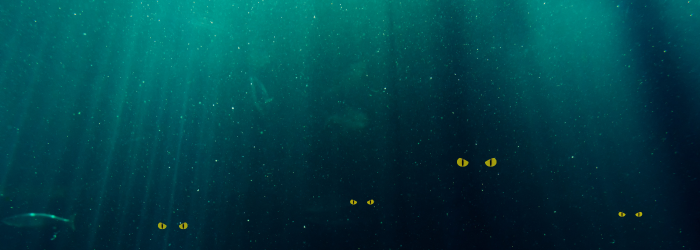 The Hidden Terrors in Your Water: Unseen Contaminants Lurking Beneath