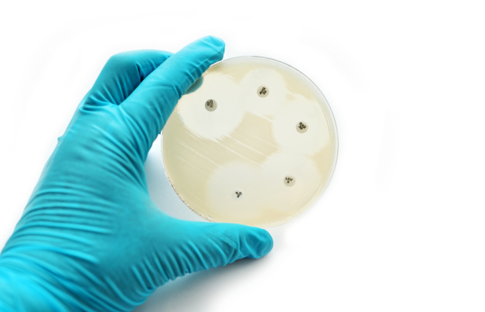 Antimikrobielle Resistenz: Ein globales Problem
