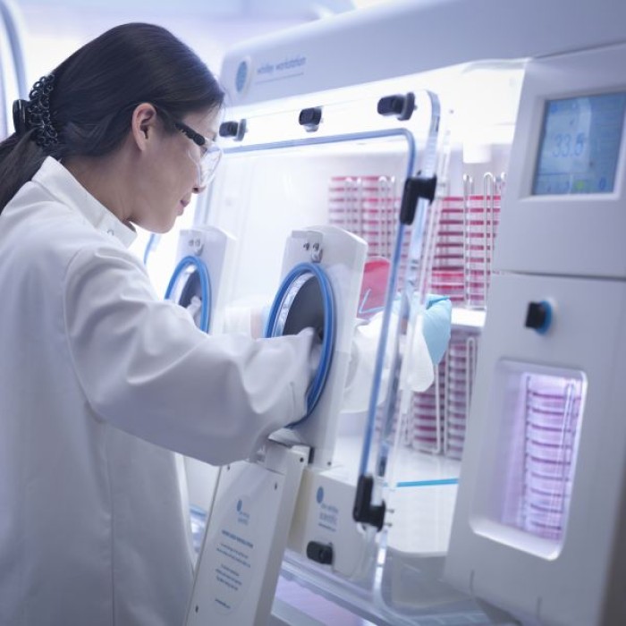 Hypoxic Snapshot Analysis in a 3D Engineered Tumour Scaffold