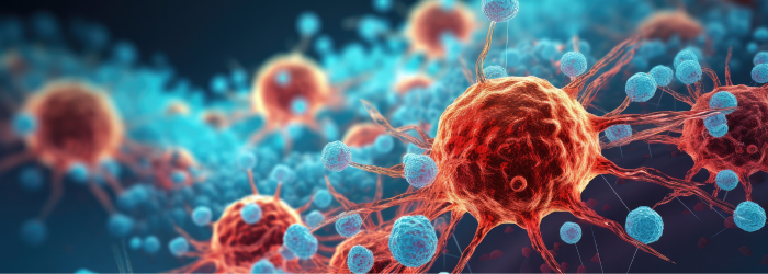 Die Bedeutung der Nachbildung hypoxischer in vivo Bedingungen in der Mesotheliomforschung