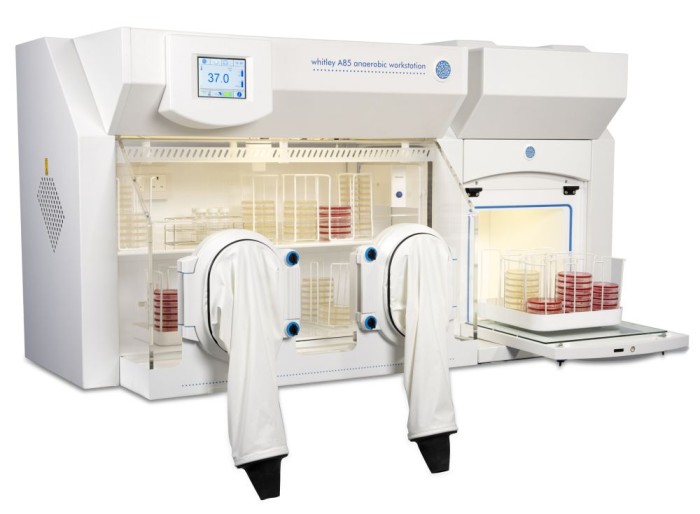 Swansea University Using A85 in Campylobacter Study