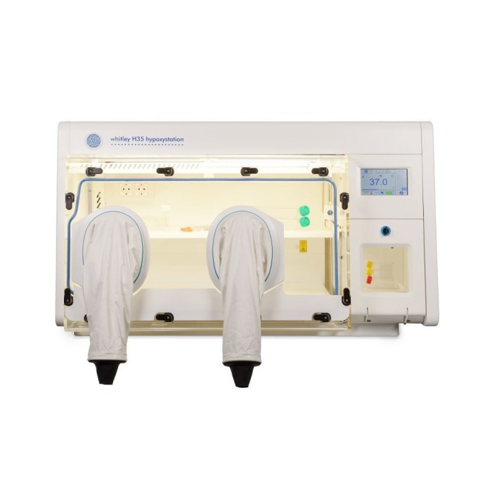 World Heart Day: Hypoxia in Cardiovascular Disease Research