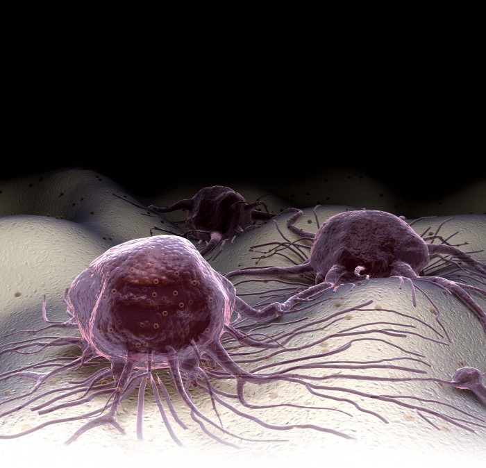 Hypoxie-Webinar: Auswirkungen von Hypoxie auf die Biologie von Tumoren und normalen Zellen
