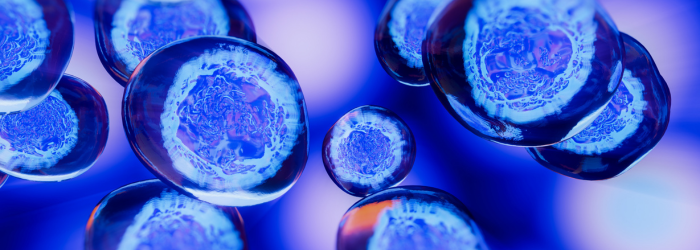 Stem Cells