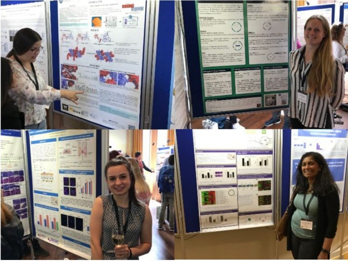 Clostpath Conference 2019