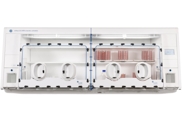 Introducing the Largest Whitley Workstation: the A155 HEPA