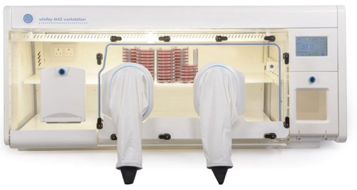 Just Enough Oxygen: Cultivating Fastidious Pathogens in Microaerobic Workstations