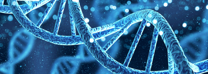 Applications for the Whitley GMP Hypoxystation fall within the field of cell and gene therapy.