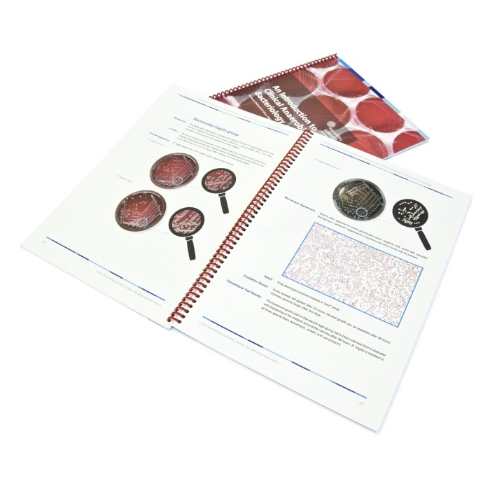 Introduction to Clinical Anaerobic Bacteriology - Arbeitsplatzedition