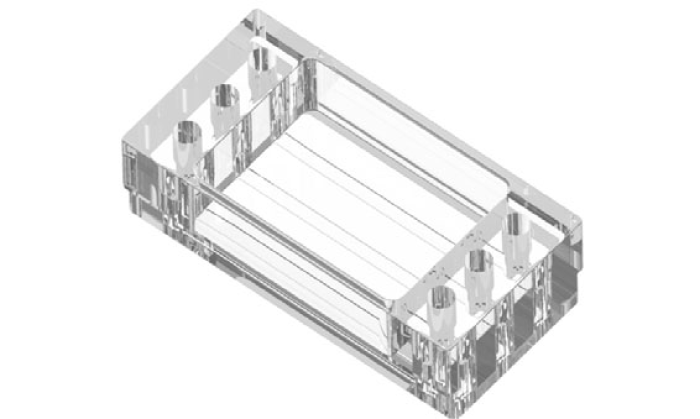 Be-Flow Chip