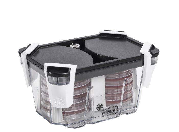 The Whitley Incubation Box