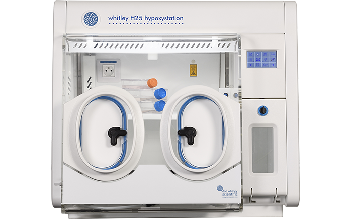 Whitley H25 Hypoxystation