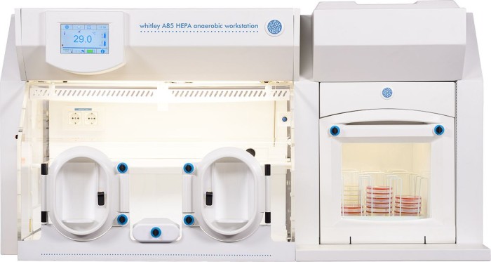 Whitley A85 HEPA Workstation