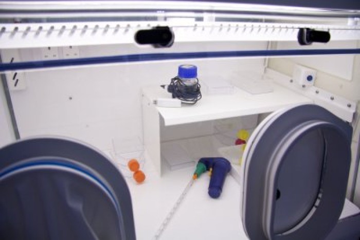 Short internal shelf