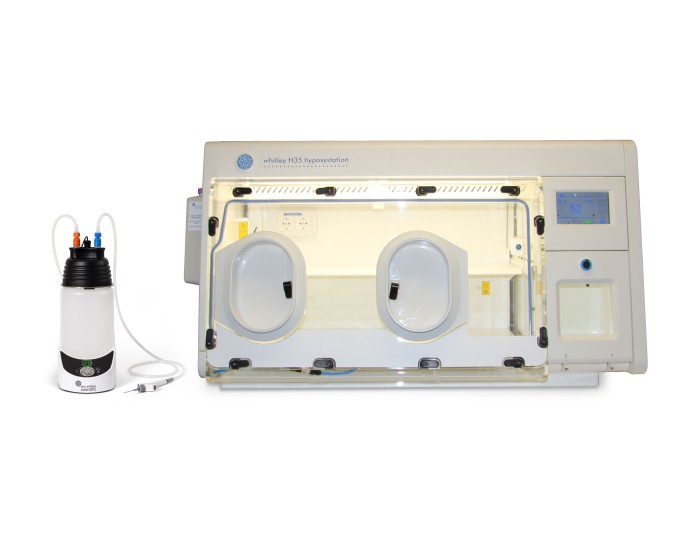 AsPROvac attached to a Whitley H35 Hypoxystation