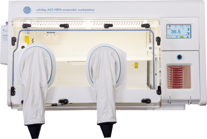 Whitley A35 HEPA Arbeitsstation 