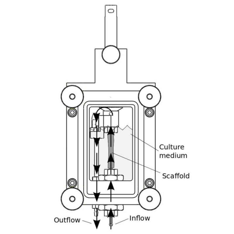 Spannung-Perfusion-Griff