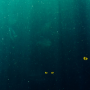 The Hidden Terrors in Your Water: Unseen Contaminants Lurking Beneath