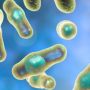 Further Understanding the Role of 7a-dehydroxylation in Resistance Against Clostridioides difficile