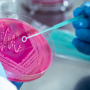 Latest Discoveries in Microbiology Research