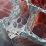 Modelling Hypoxia in Idiopathic Pulmonary Fibrosis Research