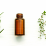 Pseudomonas aeruginosa infections: Could essential oils be the new treatment?