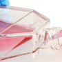 Cell Culture in Flask