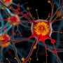 degenerating motor neurons in ALS, showing TDP-43 protein aggregates (red), swollen mitochondria (yellow), and fragmented axons.