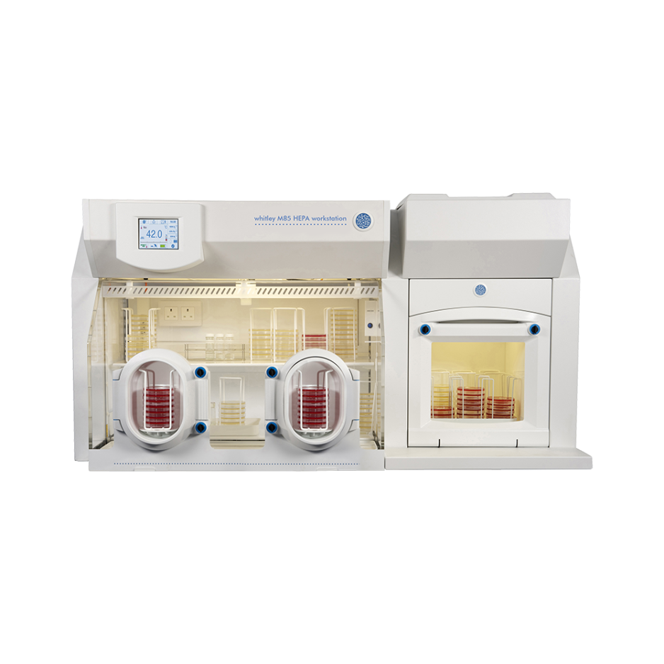 Whitley M85 HEPA Workstation