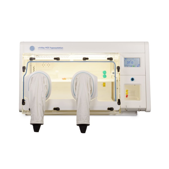 World Heart Day: Hypoxia in Cardiovascular Disease Research