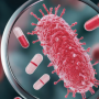 Wie entwickeln anaerobe Bakterien Antibiotikaresistenzen? 