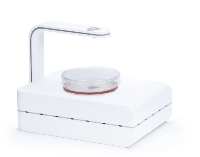 Das CytoSMART Lux ein kompaktes inverses Mikroskop für Hellfeld-Live-Cell-Imaging