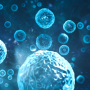 Important Considerations When Modelling Hypoxia in Cancer Biology