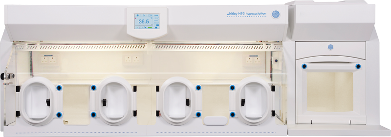 Whitley H95 Hypoxystation
