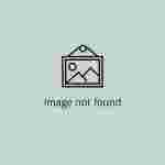 World Health Day: Stories of Whitley Workstations Around the Globe