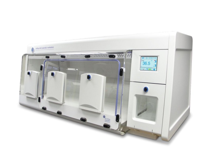 Over 25 Years of Whitley Workstations at Blackpool's Victoria Hospital