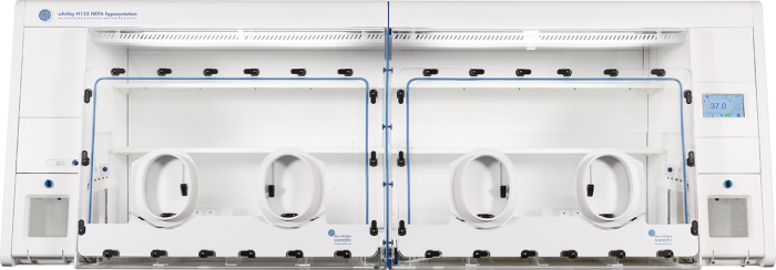 Whitley H155 HEPA Hypoxystation Bild