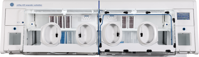 Whitley A55 Anaerobe Arbeitsstation im Royal Preston Hospital installiert