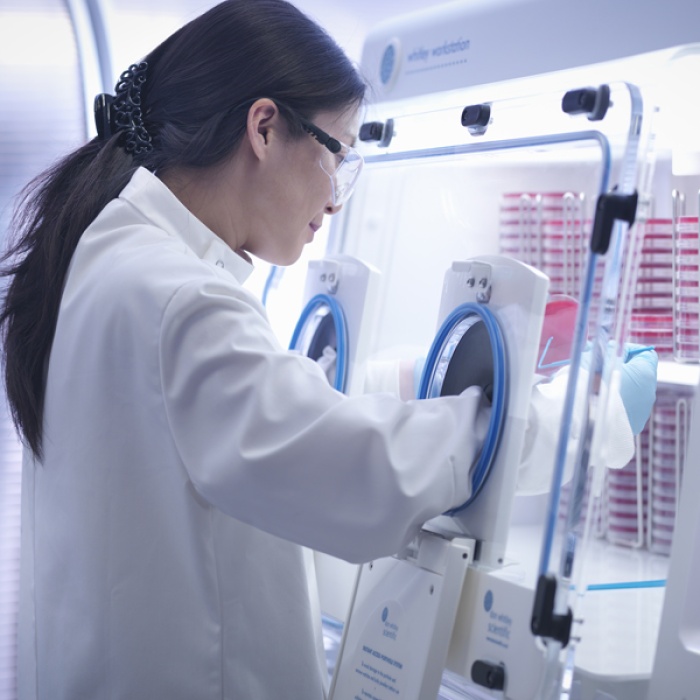 Liverpool Lab Highlights Significance of Hypoxia in Glioblastoma Research